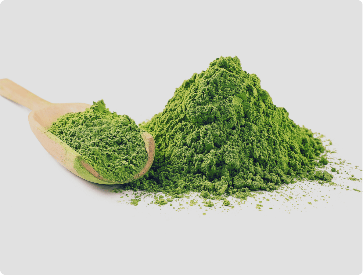 matcha 2
